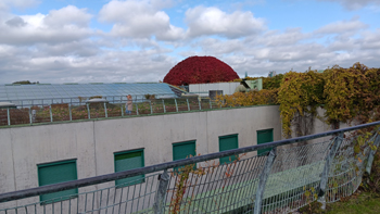 
University library roof, Warsaw