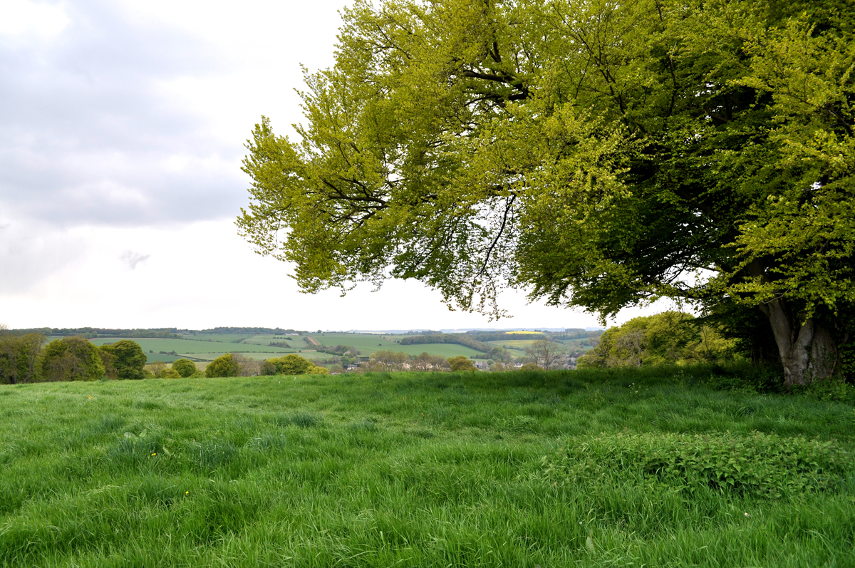 Field overlooking Donnington, Cotswolds, Gloucstershire, England, UK