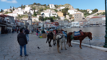 Horses and donkeys, Hydra, Greece